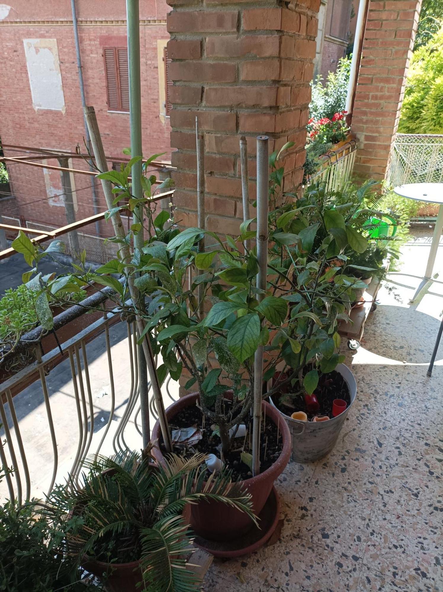 Ferienwohnung Boh & Boh A Casa Di Luca And His Cats Perugia Exterior foto